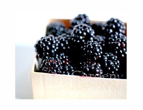8x10 fine art photo blackberries at the market