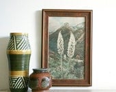 Vintage Hand Tinted Photo / Southwestern Landscape / Signed