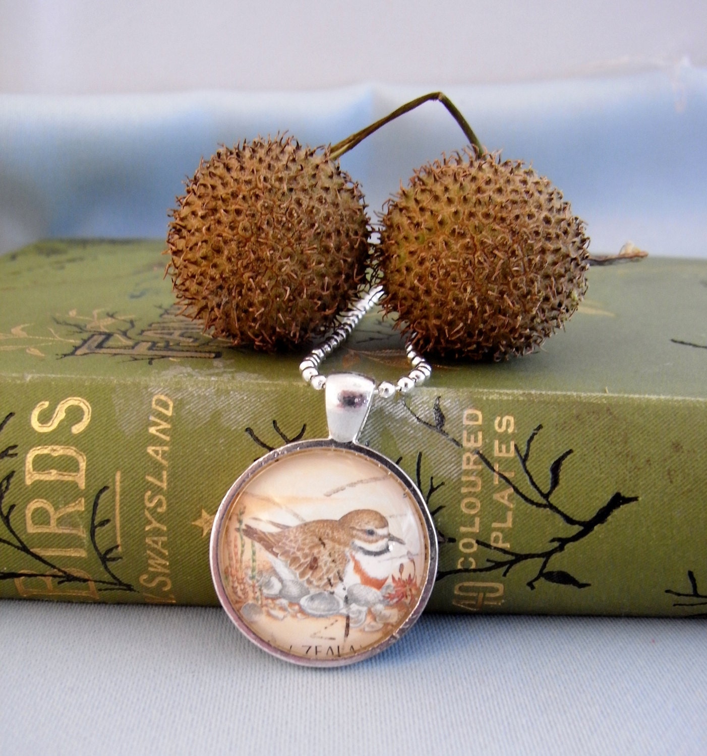 postage stamp pendant, bird, new zealand native wildlife, banded dotterel