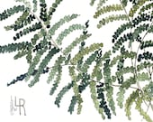 Fern Botanical Nature Art Original Watercolor Painting Garden Woodland Illustration by Laurie Rohner