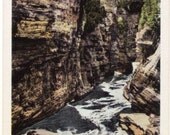 Vintage New York Postcard - Ausable Chasm (Unused)