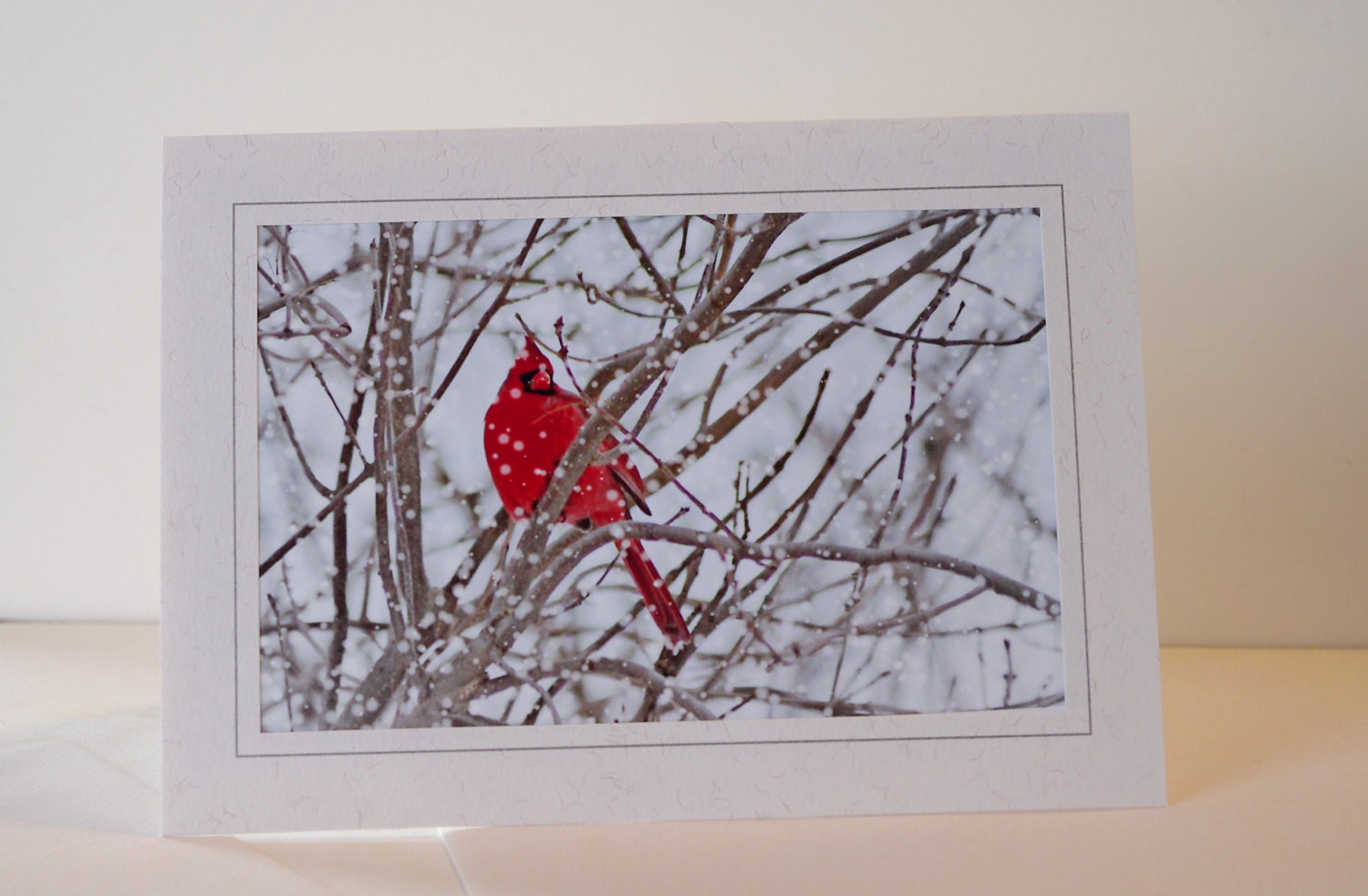 Cardinal Greeting Cards - Winter - 5 Photography Greeting Cards - Holiday Card Set  -  5 x 7 Photo Frame