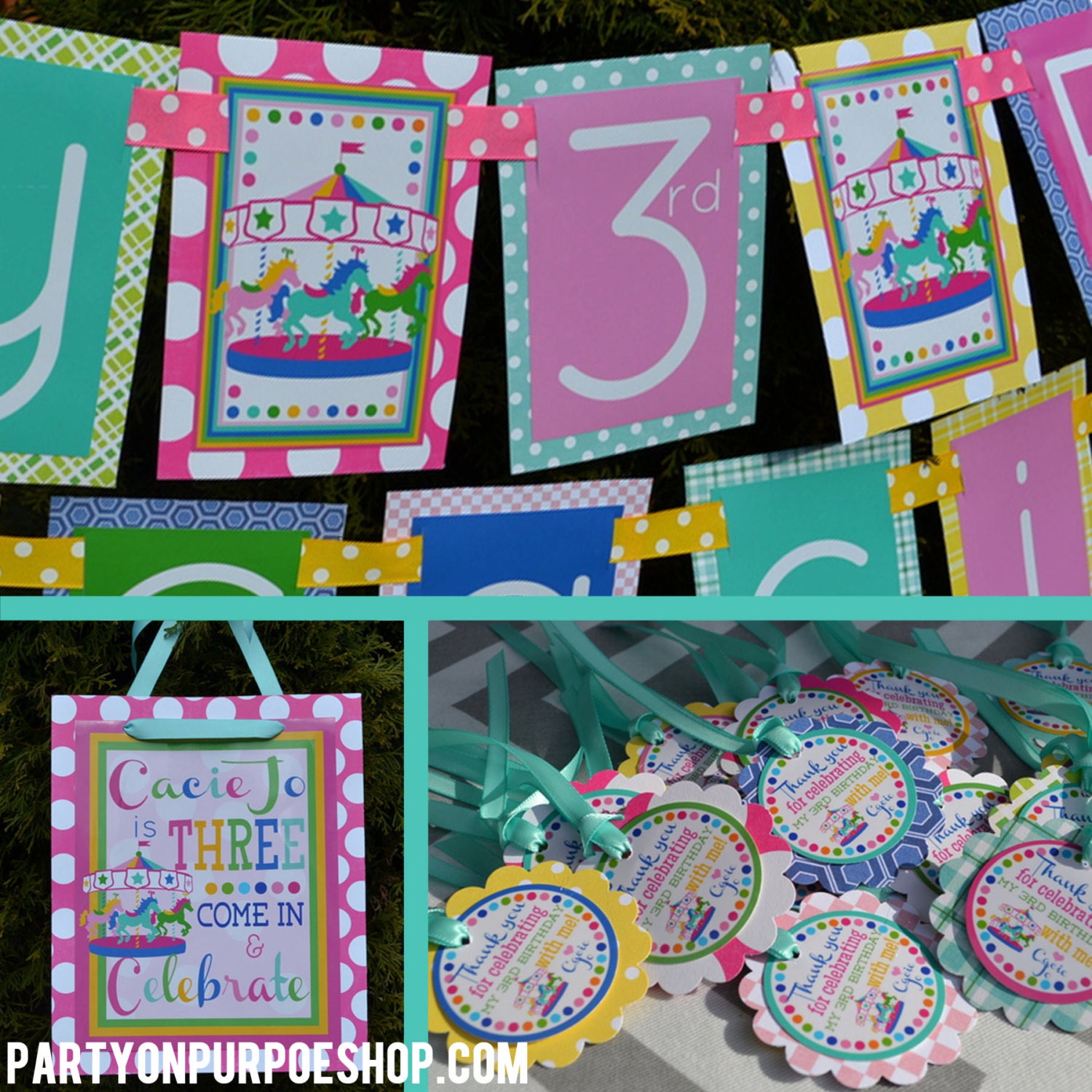 Carousel Birthday Party Decorations Package