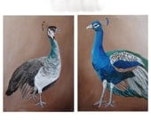 Peacock painting, bird wall art, home decor large 18x24 canvas SET OF 2