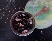 Space Jam- 8x10 Metallic Print