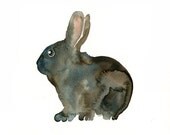 BUNNY Original watercolor painting 10X8inch