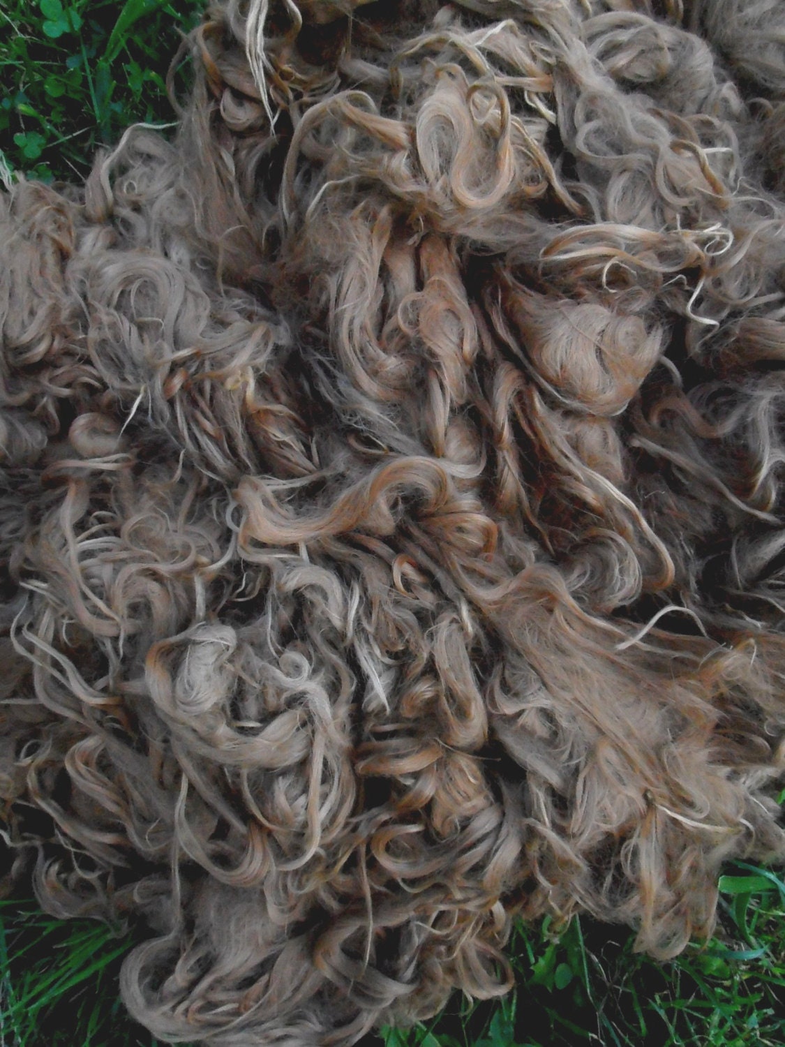 Suri Alpaca Fiber, 6.5"', Medium Fawn, 2 Ounces, Simion