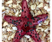 STARFISH Tile