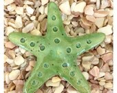 STARFISH Tile