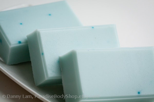 Salt Spa soap - shea butter soap - SHOP CLOSING SALE