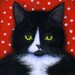 SALE   Grumpy Charlie.  8 x 10 print