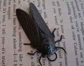 Gothic Rare Dark Cicada Bug Necklace Supply, Hand Made Pendant, NOT RAW Jewelry Supply, Insect Bug USA Metals, Ring Added