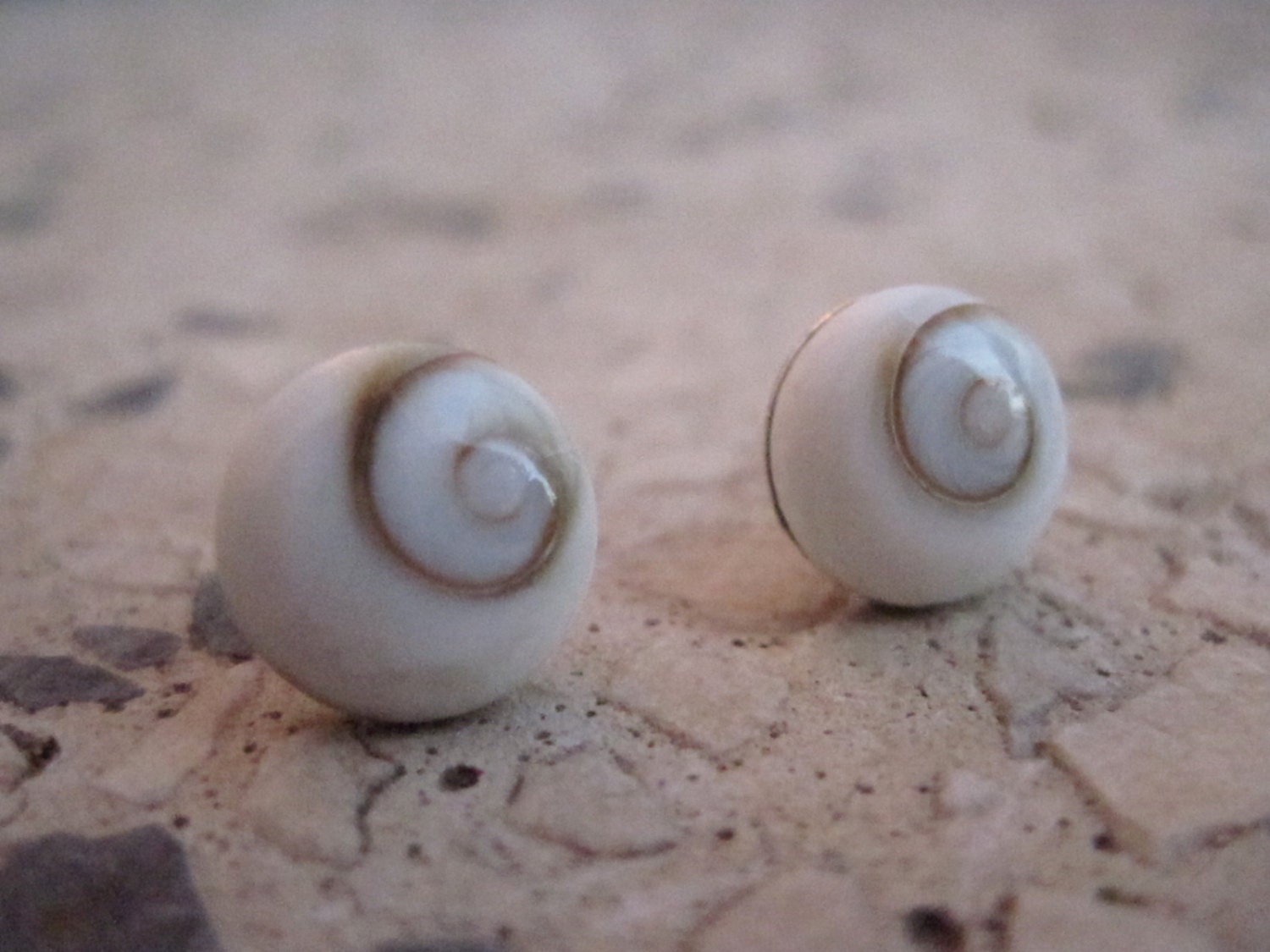 earrings stud in sterling silver and white shell 10mm with spiral