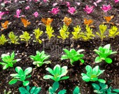 Grow and Glow 8x10 digitally enhanced photography print, neon colors, garden art, abstract garden, garden gift