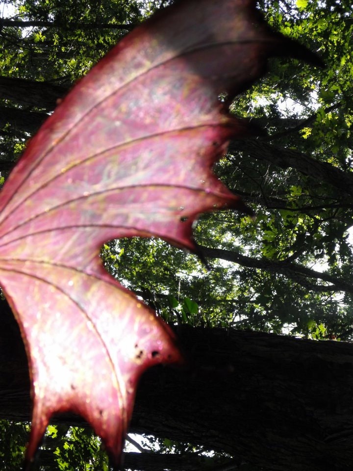Made To Order..OOAK Iridescent Fae Fairy Wings Cosplay Renaissance Custom Xylia