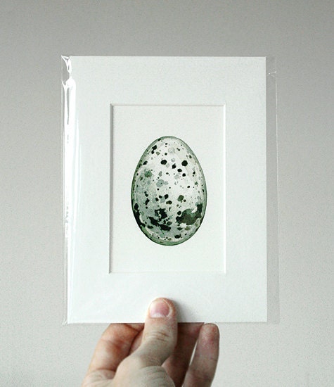 Razorbill Egg Watercolor Painting Print