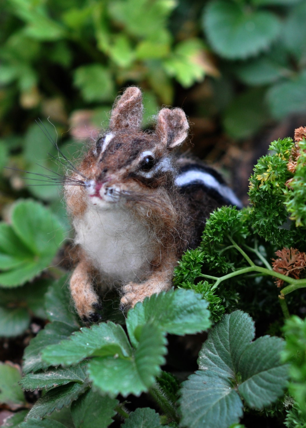 Needle Felted  Wool Animals- chipmunk- Soft sculpture-Collectible artist animals -needle felt by Daria Lvovsky-Made to custom order