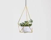 Brass Himmeli Hanging Planter no. 3 / Modern Mobile / Geometric Terrarium / Plant Hanger