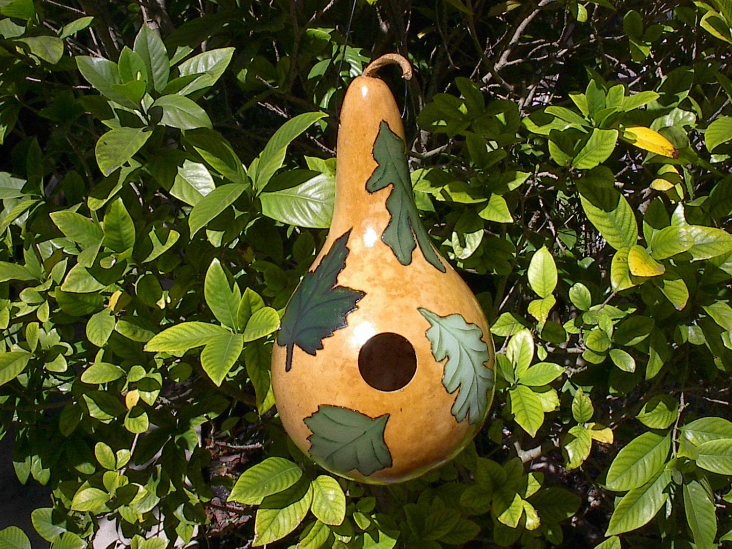 Painted Woodburned Green Leaves Gourd Birdhouse