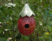Gourd Birdhouse Strawberries Wrens Gardening Decor
