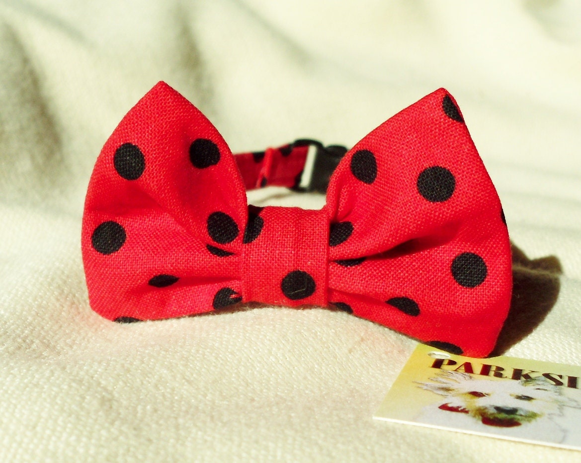 Cherry Red And Black Polka Dot Bow Tie Collar For Cats and Small Dogs