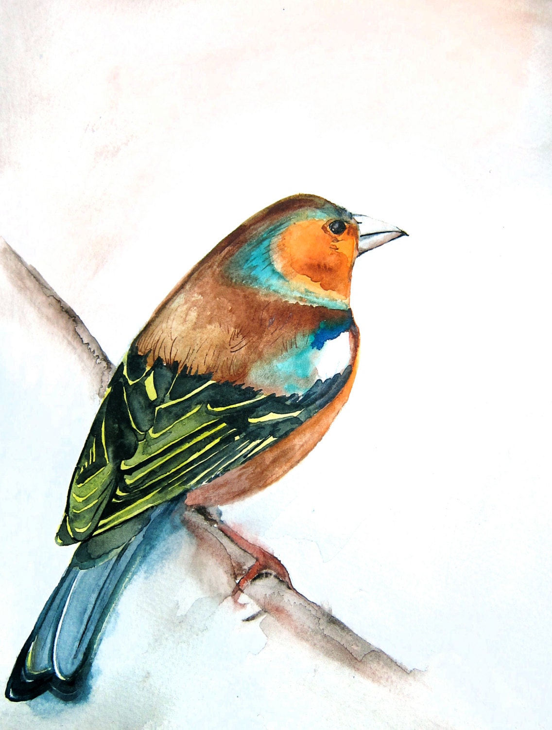 30% Off SALE - Illustration - Bird Art Drawing - Waiting for Spring - 8x10 Giclee Print - Bird Watercolor Painting
