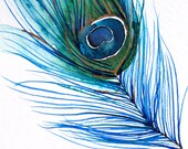 30% Off SALE - Feather Watercolor - Peacock Feather I - Bird Painting - Bright Color - 11x14 Giclee Print - Wall Art - Watercolor Painting
