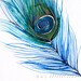 30% Off SALE - Feather Watercolor - Peacock Feather I - Bird Painting - Bright Color - 11x14 Giclee Print - Wall Art - Watercolor Painting