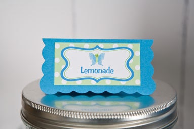 Bugs Theme Food Tents - Menu Cards - Place Cards - Food Signs - Bug Birthday & Shower Decorations in Blue and Green (6)