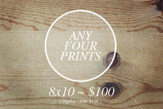SALE SET of 4 prints 8x10. Fine Art Photographic Natural History Print. Minimal style. Natural Home Decor. Indoor garden botanical