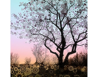 Winter Star Tree 2 ... sunset, a bare apple tree and turquoise sky fine art print