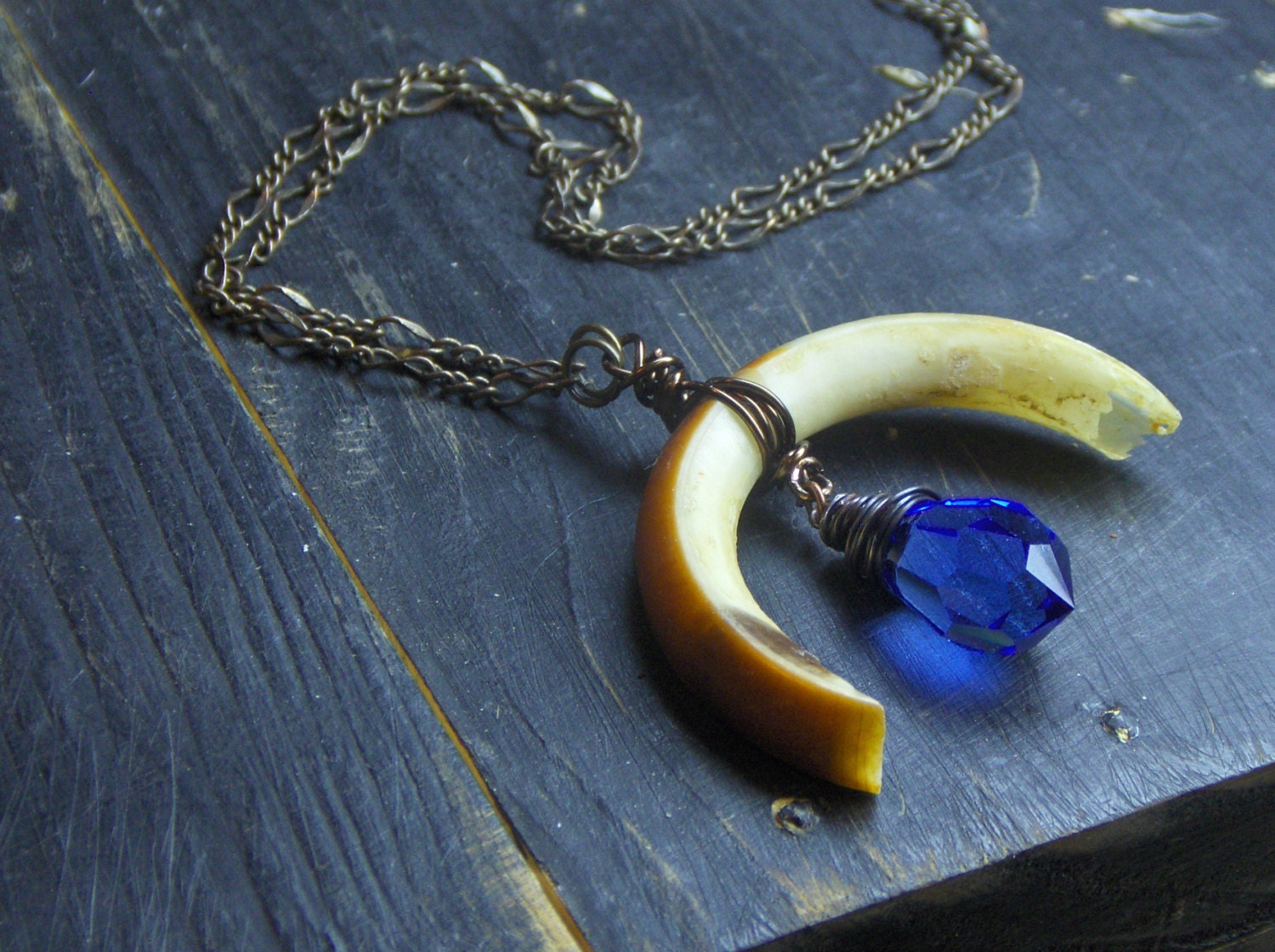 Take Me to The River. Genuine Beaver tooth and cobalt  blue crystal drop necklace. talisman