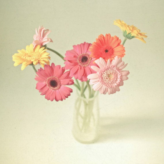 Still Life - Flower photograph, Gerbera Daisy, nature, pastel decor, spring art, feminine art 8x8 still life print