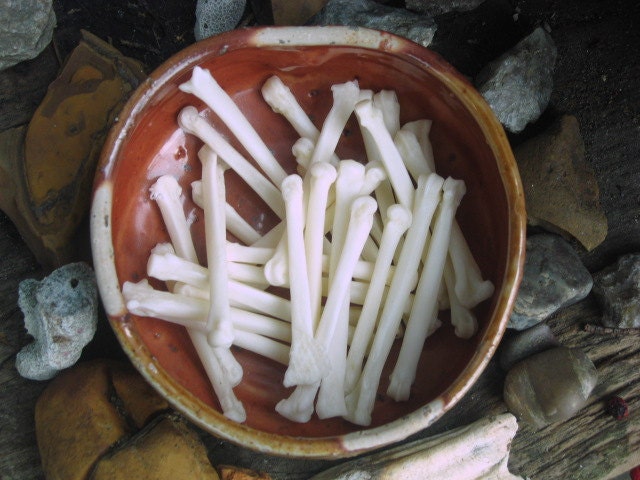 Coyote Bone-Hoodoo-Voodoo-Conjure-Witchcraft-For Luck, Cunning, Balance, Skill, Intellect, Strength