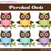 SALE - Perched Owls Clipart - Digital Clip Art Graphics for Personal or Commercial Use