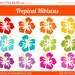 SALE - Tropical Hibiscus Clipart - Digital Clip Art Graphics for Personal or Commercial Use