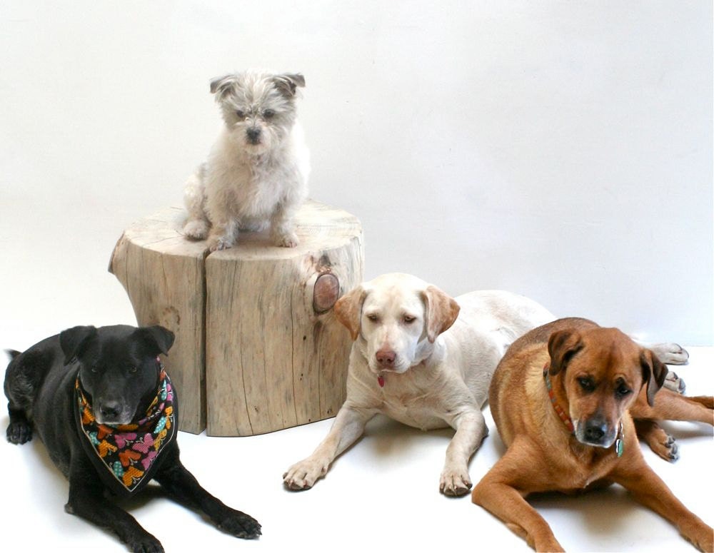 Doggone it - Garden Stump In the Nude Seat Stool Patio