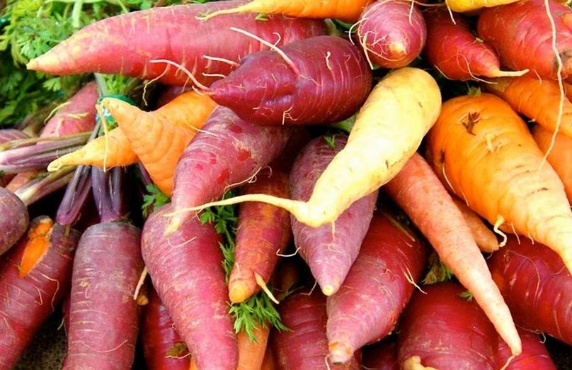 Carrot, Rainbow Carrot Seed Mix - Brilliant Bold,Bright Carrots Fresh from Your Garden - Sweet Satin Taste