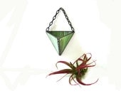 Air plant wall vase hanging holder planter Spring green home decor modern