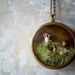 Better Gnomes and Gardens. Woodland Moss Terrarium Brass Locket Necklace