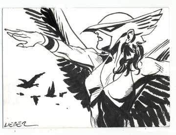 Hawkwoman sketchcard by Steve Lieber