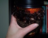 Crochet Coffee Cup Cozy in Brown, OOAK Coffee Cup Sleeve, Teacher's Gift or Stocking Stuffer for the Coffee Lover