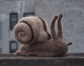 Needle felted GIANT SNAIL sculpture - Megalobulimus