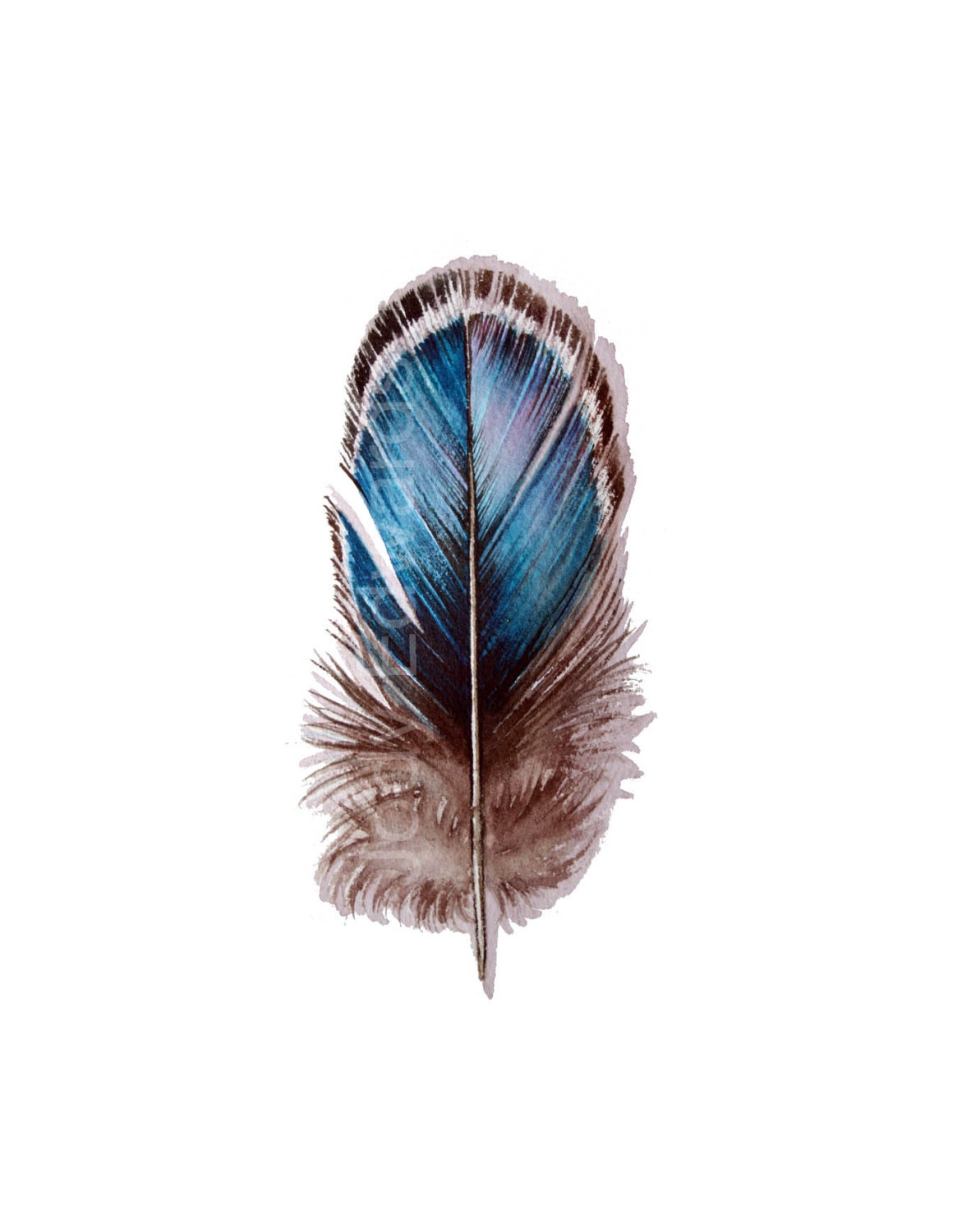 Feather Painting - Mystery Feather - Original Watercolor Study 506