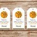 SET of 20 Basketball MINI Favor Tags, Hang Tags  :  Personalized, Sports, Choose Your Team Colors