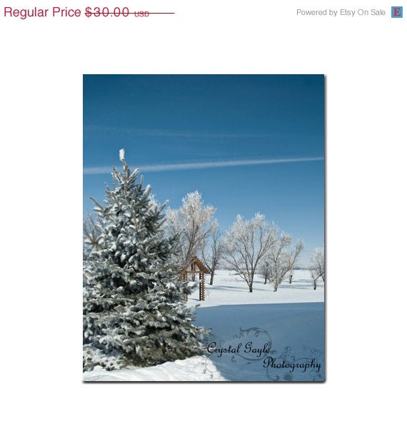 Winter Wonderland Nature Outdoor Photography Fine Art Home Decor Print Sky Blue Snow White