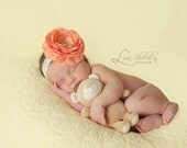 Victorian Pink Flower Clip plus Lace Headband