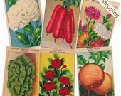 96 Antique French Garden Flower and Vegetable SEED ENVELOPE LABELS Free Shipping