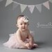 5 Feet Party Banner, 11 flag Bunting, Wedding Decor, Pale Light Pink Floral, Grey Polka Dot and Flowers, Photo Prop, Baby Girl Nursery Decor