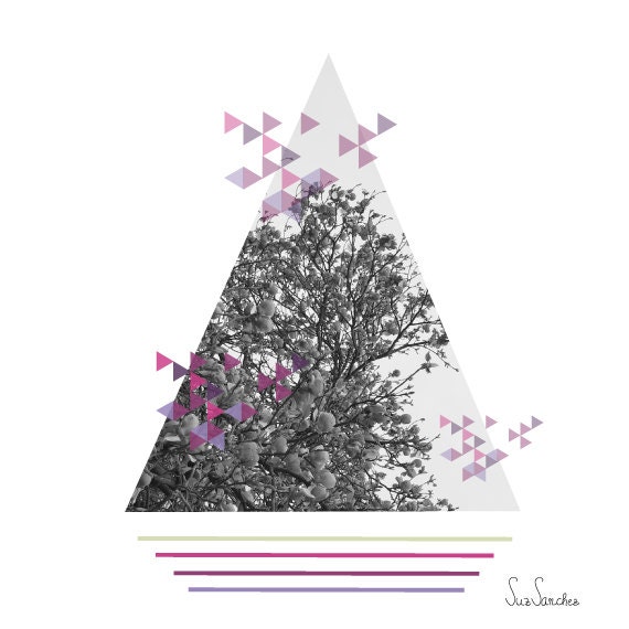A4 PRINT / Botanica photography III collection